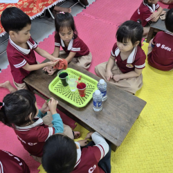 chuyên đề hoạt động trải nghiệm